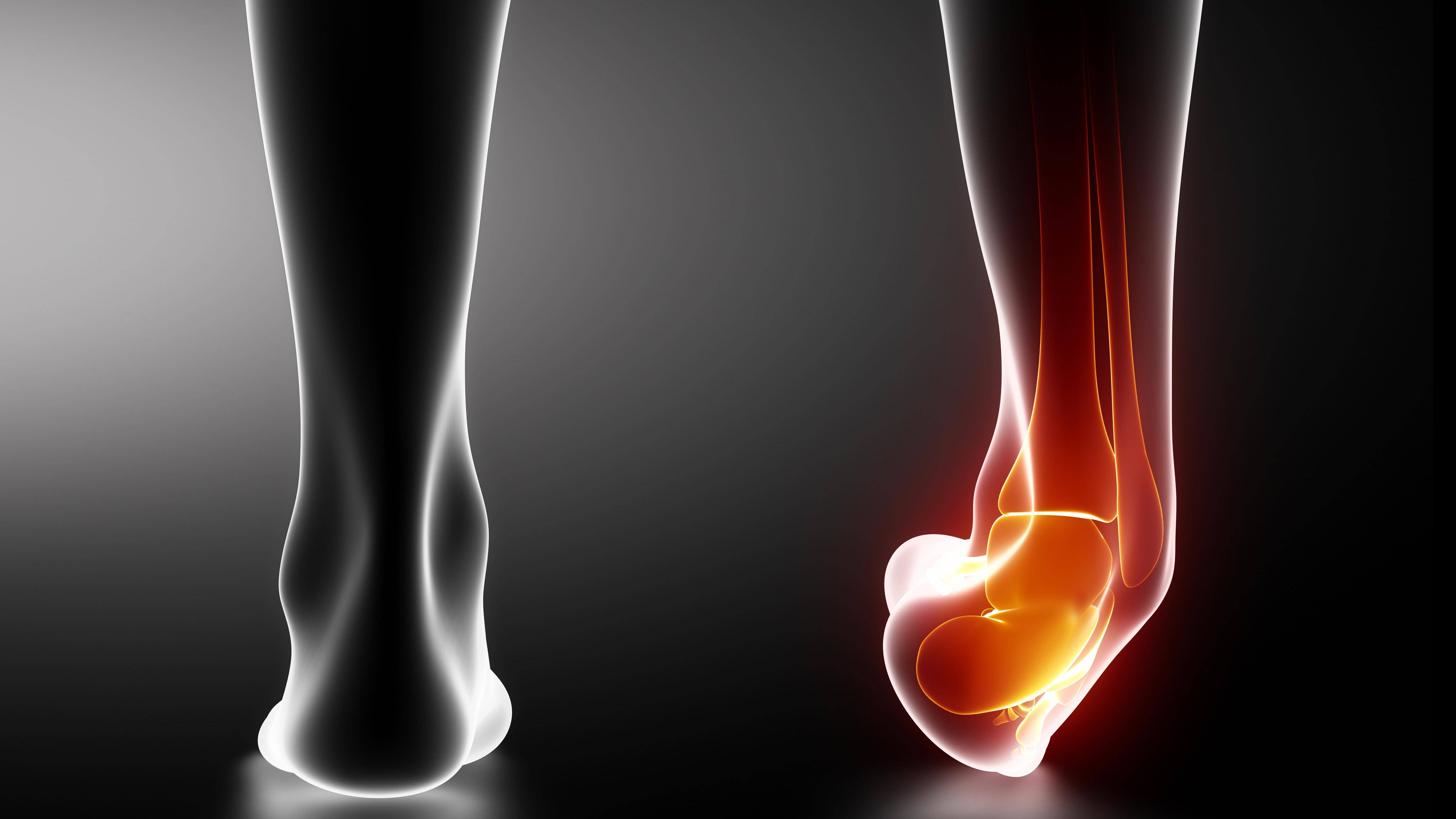 Seeking Volunteers for Ankle Reflex Study!
