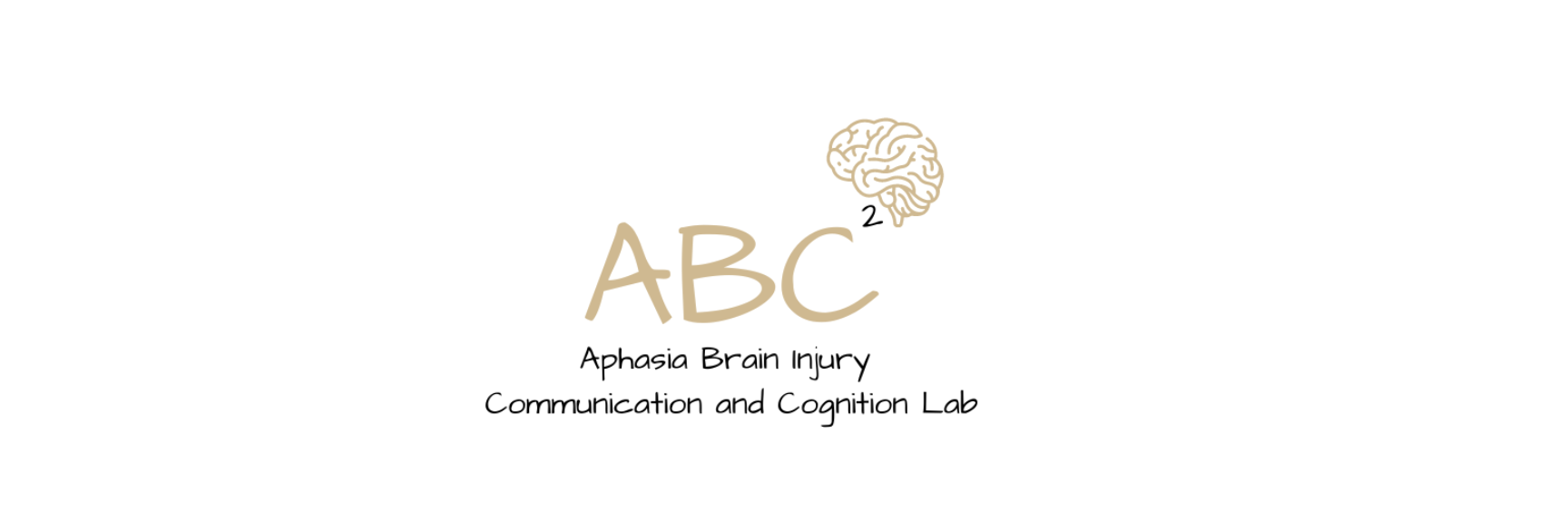 Attention in Aphasia Study