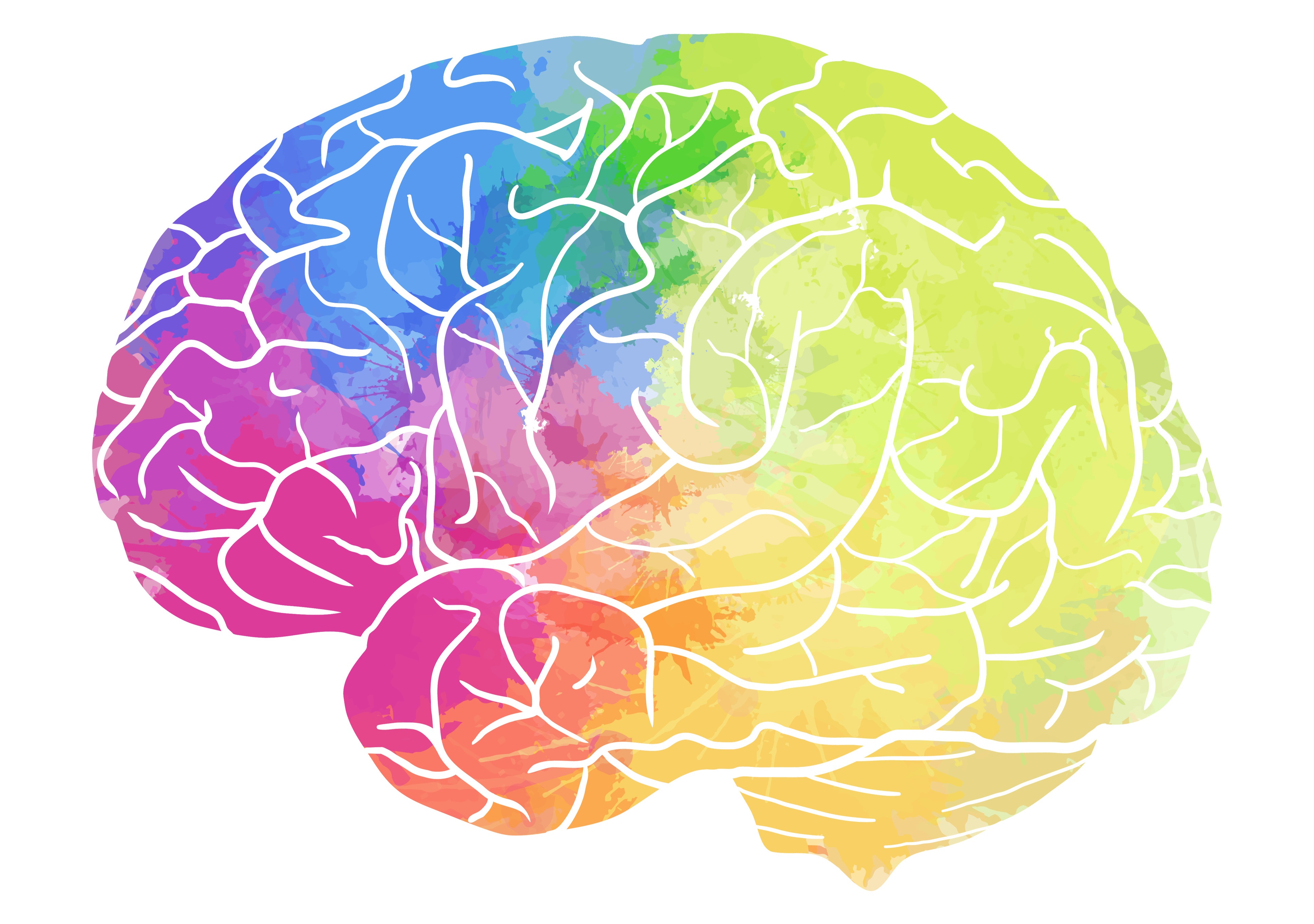Help Us Learn How the Brain Controls Hunger
