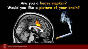  Chain-Smokers Wanted for IU Bloomington Research Study! 