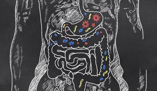 Gut Feeling: Can What You Eat Affect Your Colon Cancer Risk?                                                              The food environment, microbial cysteine metabolism, and cancer disparities 