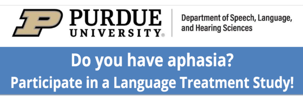  Sentence Treatment for Aphasia Recovery (STAR) 
