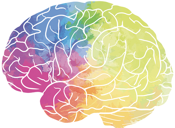  Adults Ages 18-55 Needed for Social Decision-Making Study 