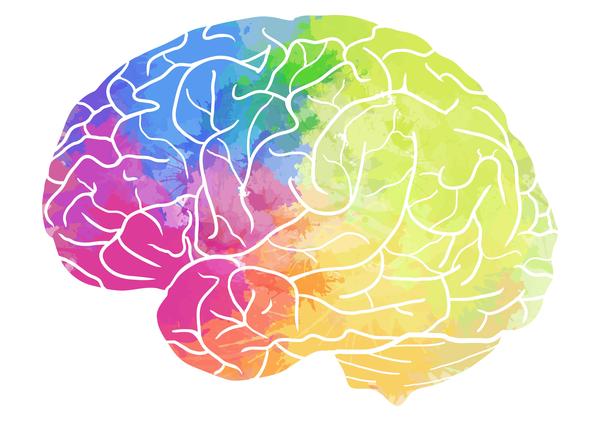  Help Us Learn How the Brain Controls Hunger 