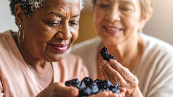  Prebiotics in Women’s Health and Aging:  The Gut-Bone Connection 